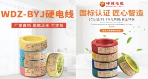 電纜型號中，WDZ-BYJ和BV電線竟有這些不同