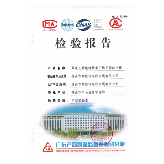 檢驗(yàn)報告