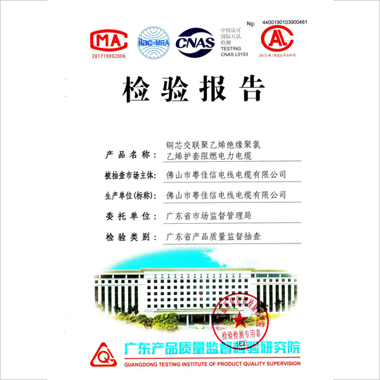 檢驗(yàn)報告